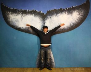 Mehmet Pediz à l'atelier devant La Queue de la Baleine