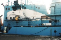 Malvina peint Moby Dick à Bremerhaven